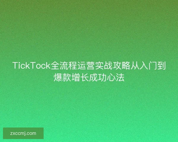 TickTock全流程运营实战攻略从入门到爆款增长成功心法 TickTock全流程运营实战攻略从入门到爆款增长成功心法